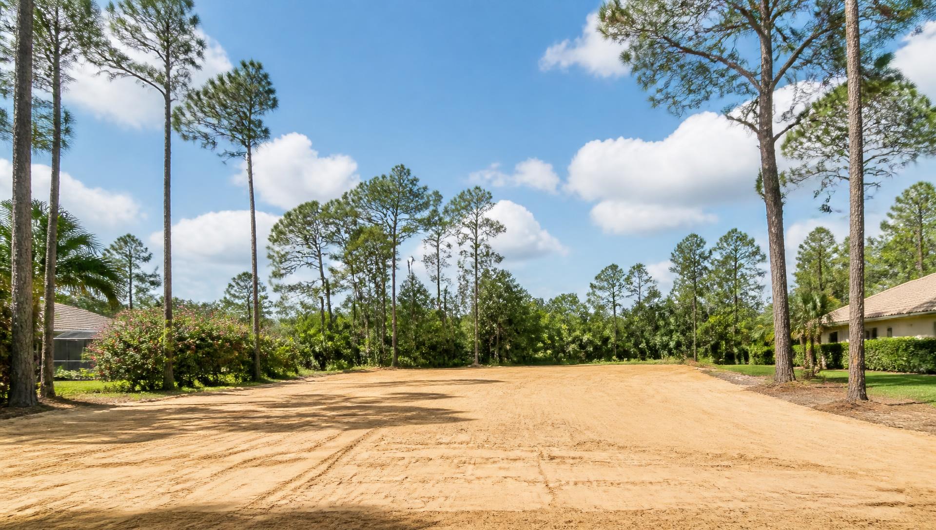 Freshly cleared and graded homesite surrounded by pines in Northeast Florida